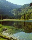 Breitenberg